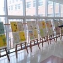 연화초등학교 이미지