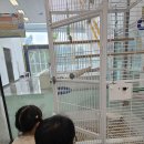 성북생태체험관(2) | 충주 자연생태체험관 후기｜41개월 아이와 다녀온 2천 원의 행복 가족 나들이