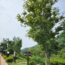 산마루가든센터 | 거창 여행 코스, 수승대 출렁다리 가는법, 주차장, 거북바위, 요수정, 구연서원 관수루, 목재문화체험장