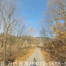 곡성-102 티스토리