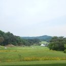 스카이 밸리 티스토리