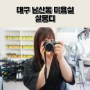 티나네강아지미용실 | 대구 남산동 미용실 살롱디 내돈내산 새치염색 솔직후기