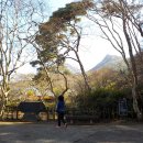 송백정 | 장흥 한달살기 19일째
