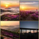 21)07. 莊子장자 外篇외편 第21篇 田子方(전자방)(第07章)/트럼프 딜,美경호차량,희토류,모디 총리,UFC 경기,크루즈 여행,엘니 이미지