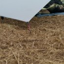 함허동천 야영장 이미지