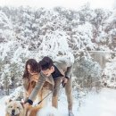 아오라스튜디오 이미지