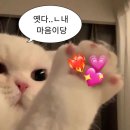 코엔네일