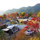 서대산드림캠핑파크 이미지