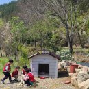 철성농장 이미지