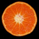 캔들웨이 이미지