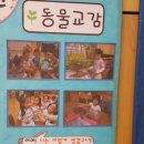 늘품자연유치원 네이버블로그