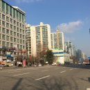 청솔(171) 이미지