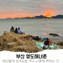 영도 바닷가 이야기 | 영도 해녀촌 김밥 먹으러 갔다가 뷰에 취한 후기! (주차, 메뉴, 자리 꿀팁!)