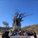 ㈜예스투어 이미지