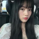 수지 엘르