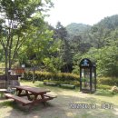 작은도서관 숲 이미지