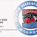 BD 주짓수 이미지