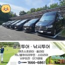 화성동탄 7시리즈HEV 의전렌트카