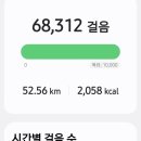 들꽃바다펜션모텔 이미지