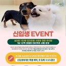 털로덮인친구들 수원시청역점 네이버블로그