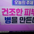 건조한 피부가 병을 만든다/고보습 목화씨크림 만들기/기치유센터 이미지