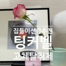 뉴트라텍 | 집들이 가전 선물 말고 팅커벨 고체탈취제 추천