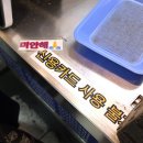 한마음목장 | 갈테야 갈테야 여름의 후쿠오카로 갈테야