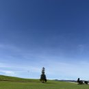 팜스타마트 | [삿포로 자유여행 3일차] 비에이 버스투어 ‘여행 한 그릇’ 후기🌾 청의호수·사계채의언덕·팜도미타