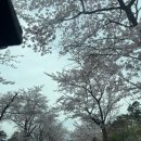 아름다운속초 이미지