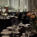 강남대로101길 28 (1) | [w.28] 아이폰 스냅 추천 블랑자르뎅 Blanc Jardin 진짜 솔직 자세한 후기 (대가성x)