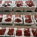 주니청과 이미지