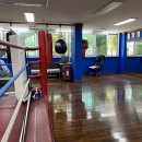 천지복싱클럽 이미지