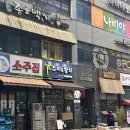 쪼이참치