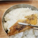 수리산두꺼비 이미지