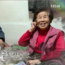 풍기장수인삼마을 이미지