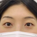 화신로 | 화정 속눈썹펌 헤이데이브로우 무쌍 블랙틴트펌 후기