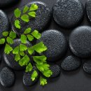 스톤 하와이 이미지