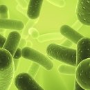 신현대한의원 이미지