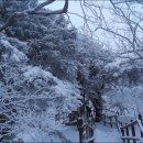 삼가-21 이미지
