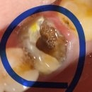 여의도이플러스치과의원 이미지