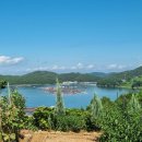 아남농장 이미지