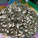 태백건재 이미지