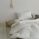 더설레임 이미지