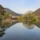 영산 연지못 이미지