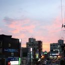 퍼피프린스 이미지