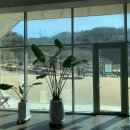 스타벅스 인근(미각방향) 다이닝코드