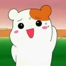 프레피커피랩