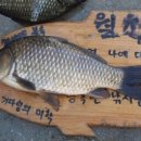 대박PC게임 이미지