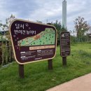 봉화재 반려견놀이터화장실 | 대구 애견동반 카페있는 잔디 운동장 달서반려견놀이터