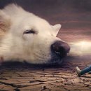 역곡로46번길 이미지